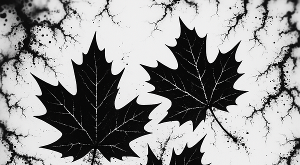 Nomos Monthly October 2025